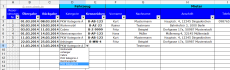 Fahrzeugverleih und -vermietung mit MS Excel