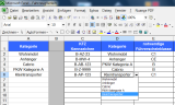 Fahrzeugverleih und -vermietung mit MS Excel
